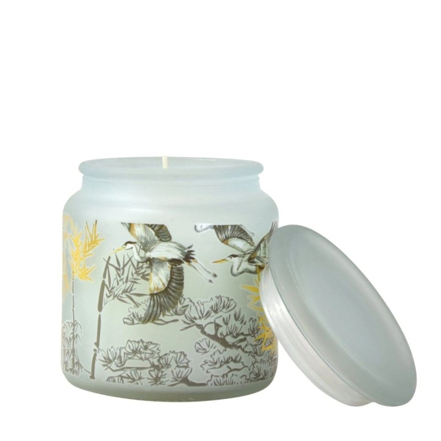 Candlelight Clean Cotton Scented Jar Candle | Candles & Diffusers